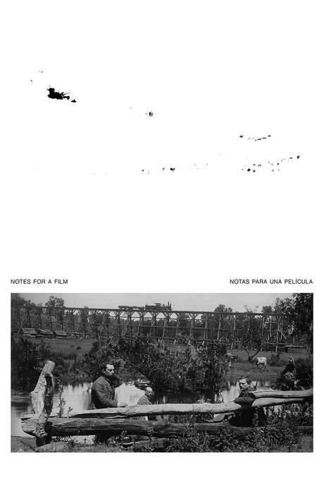 Notes for a Film